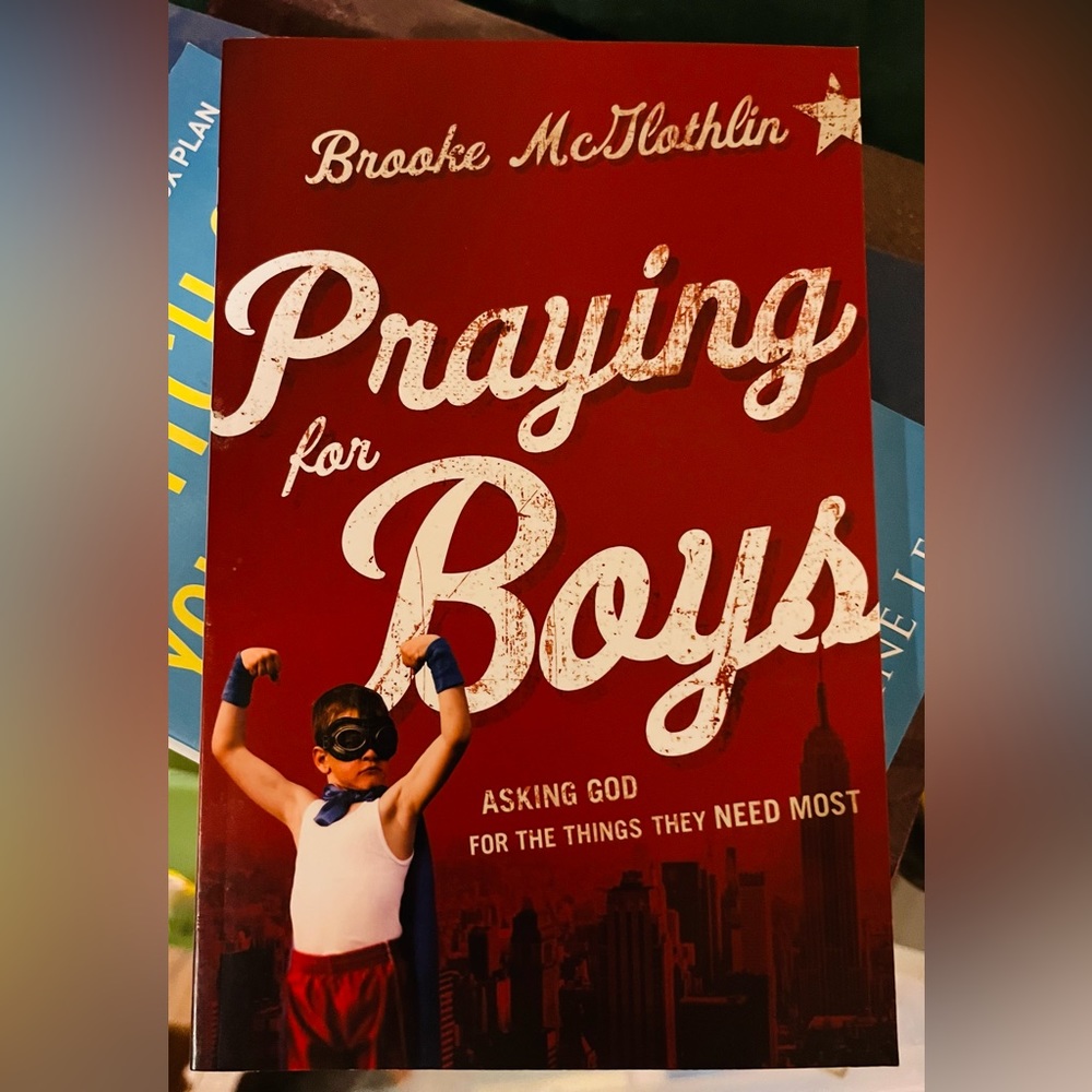 *NEW* Praying for Boys pb book -BUNDLE ITEM ONLY
